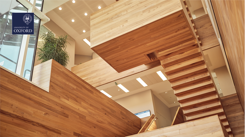 wooden stairs inside a building