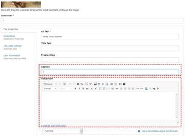 Image credit 2 How to insert caption and attribution for an image